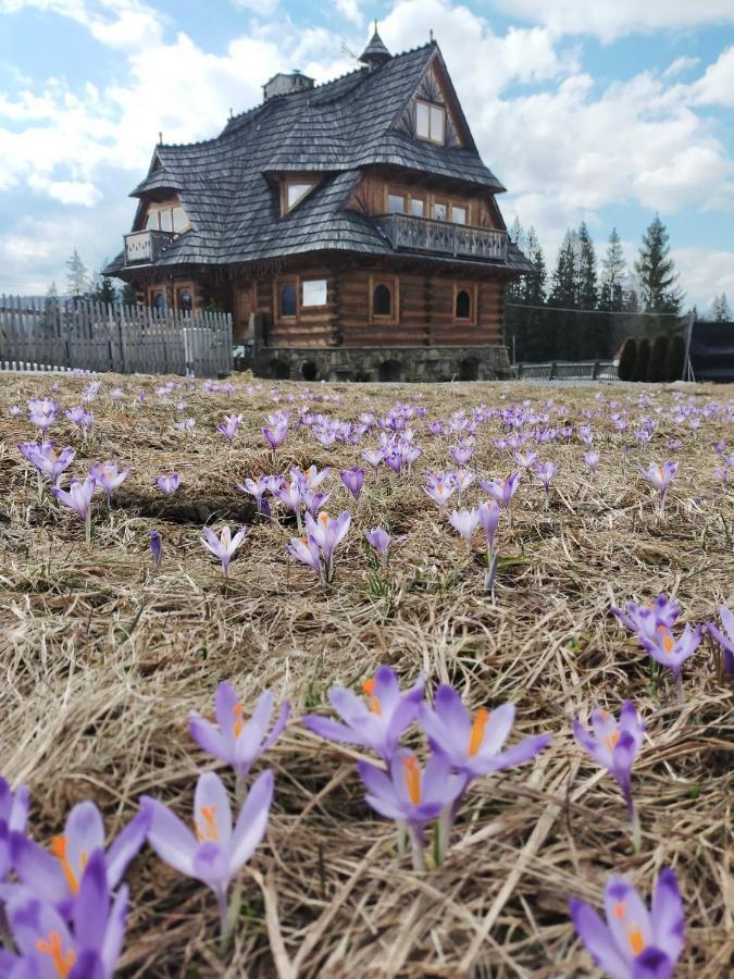 Willa Giewontka Witów 外观 照片